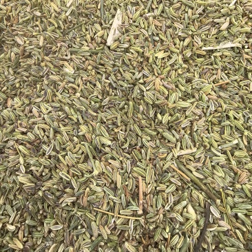 茴香籽