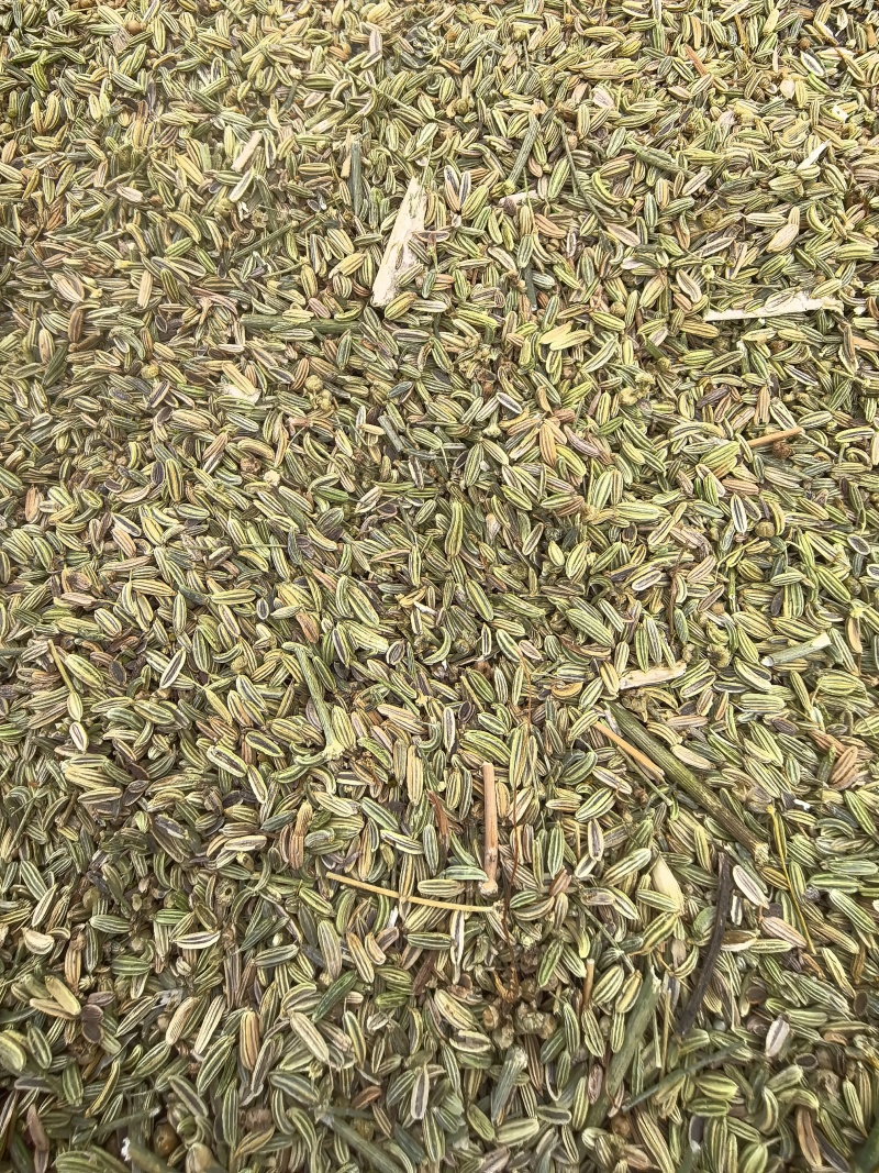 茴香籽