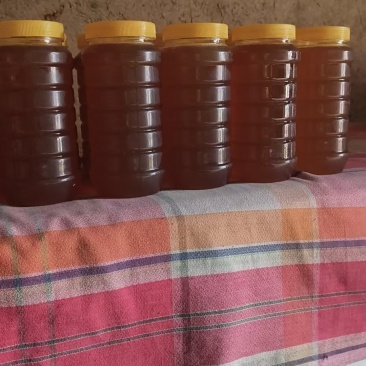 土蜂蜜🍯