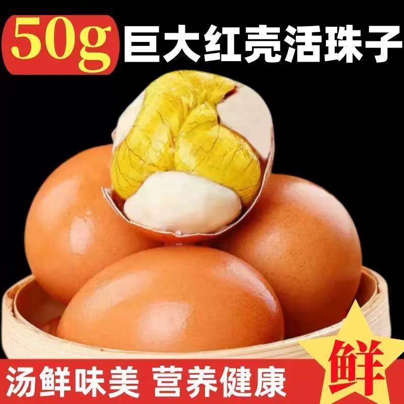 活珠子