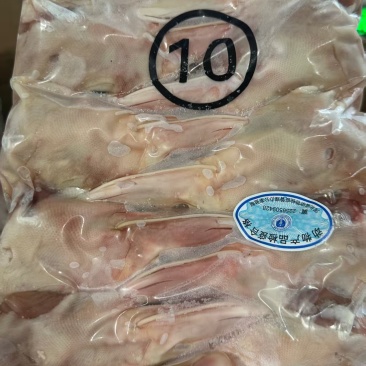 一级10a鸭头