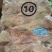 一级10a鸭头