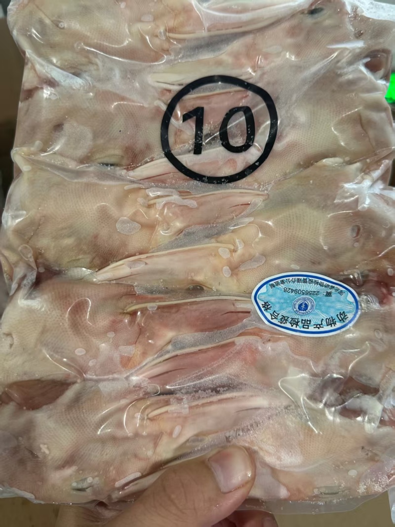 一级鸭10头
