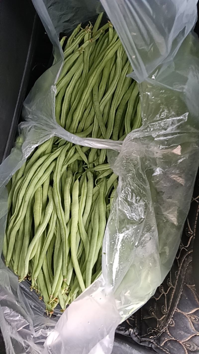 豆王