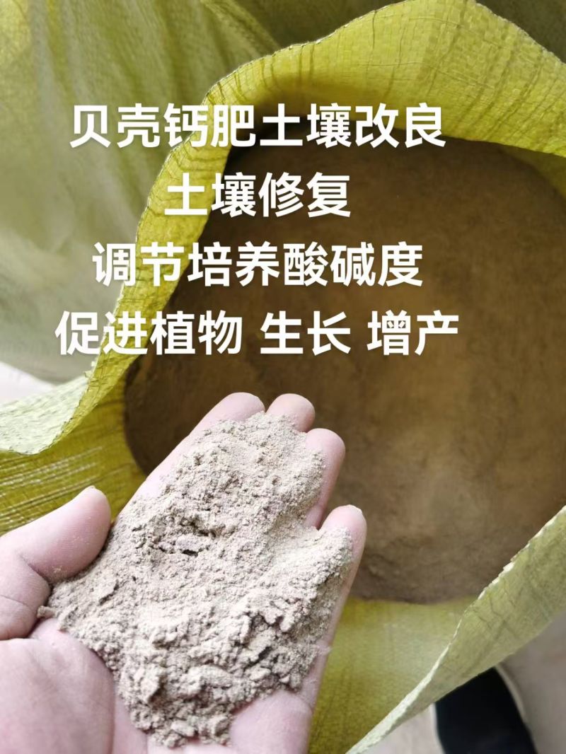 贝壳粉有机肥