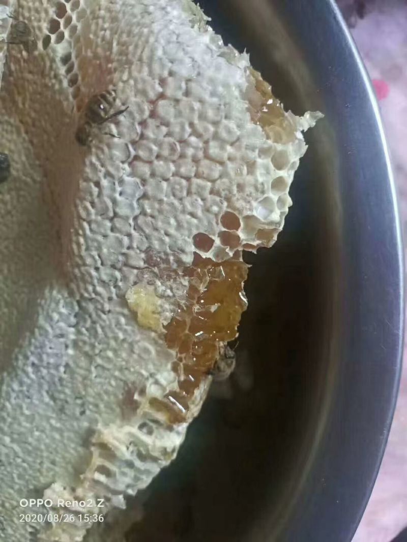 土蜂蜜
