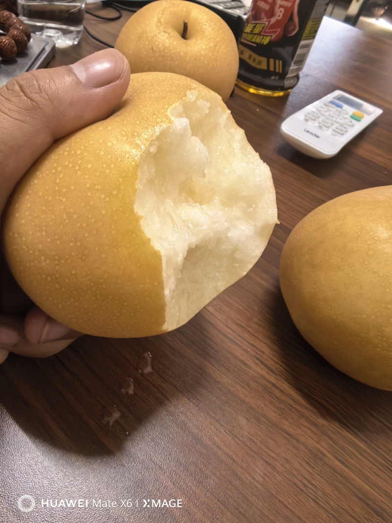 新高梨