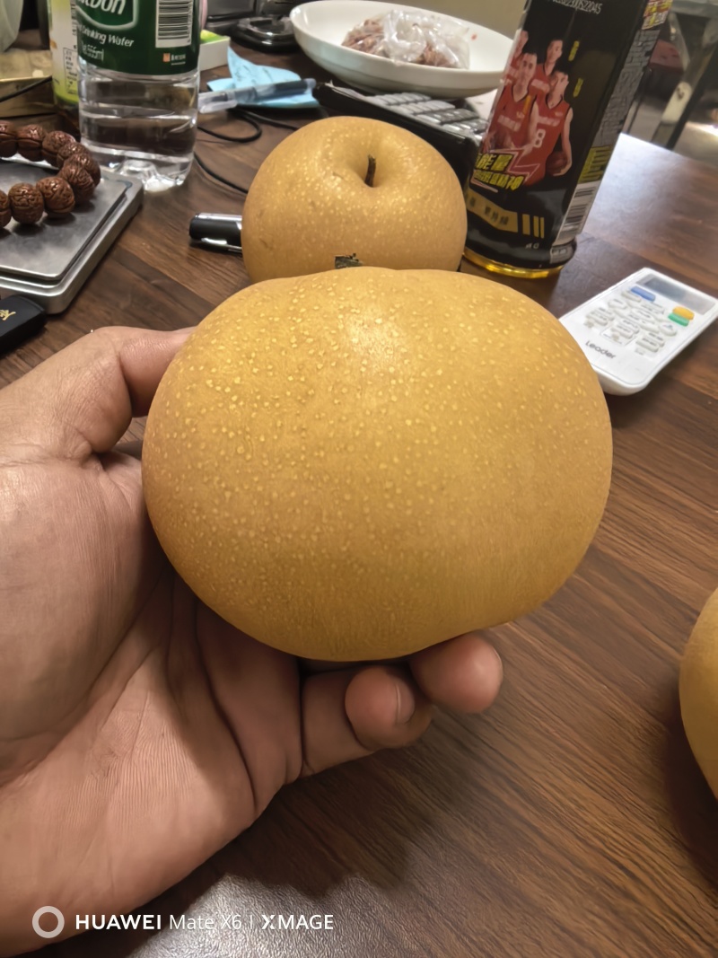 新高梨