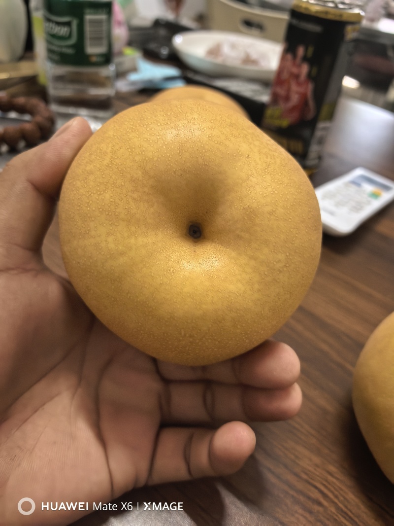 新高梨