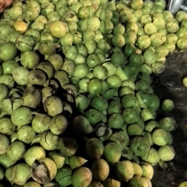 合阳青皮核桃