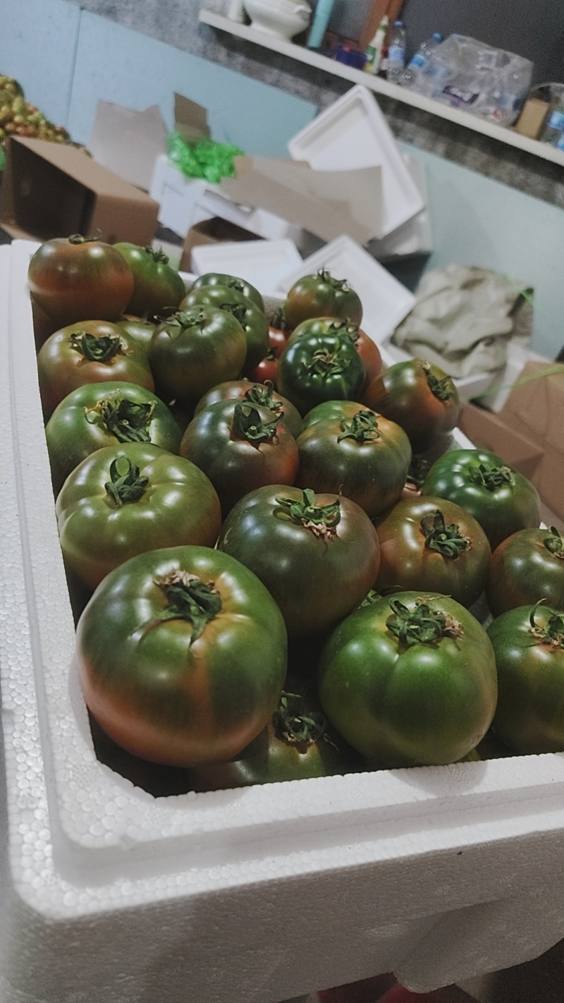 铁皮柿子