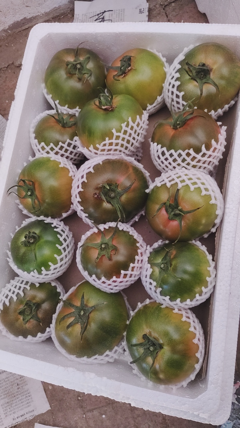 铁皮柿子