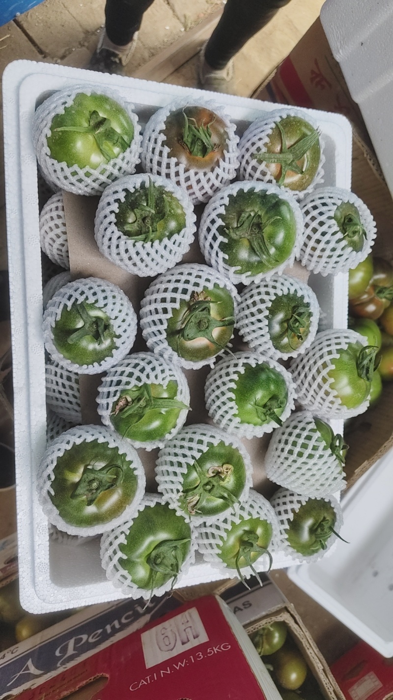 铁皮柿子