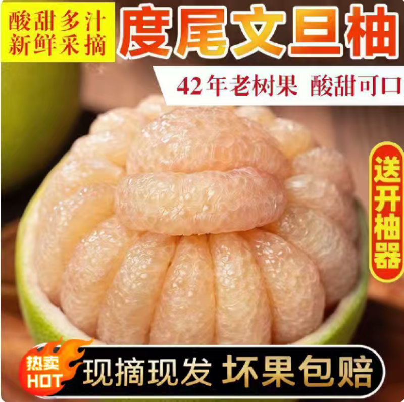 福建度尾文旦柚