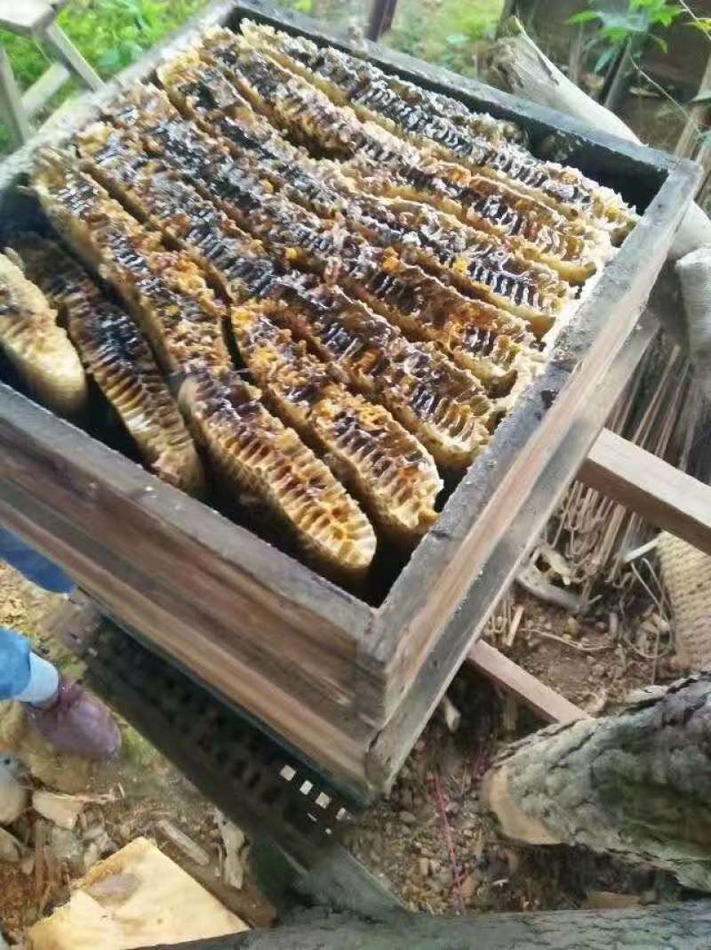 浏阳大山天然土蜂蜜