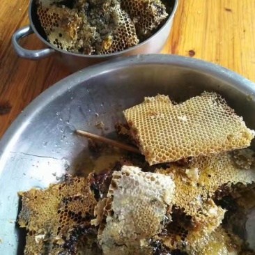 浏阳大山天然土蜂蜜
