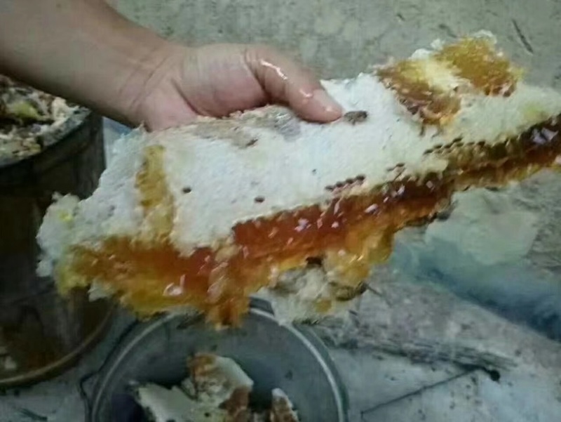 浏阳大山天然土蜂蜜