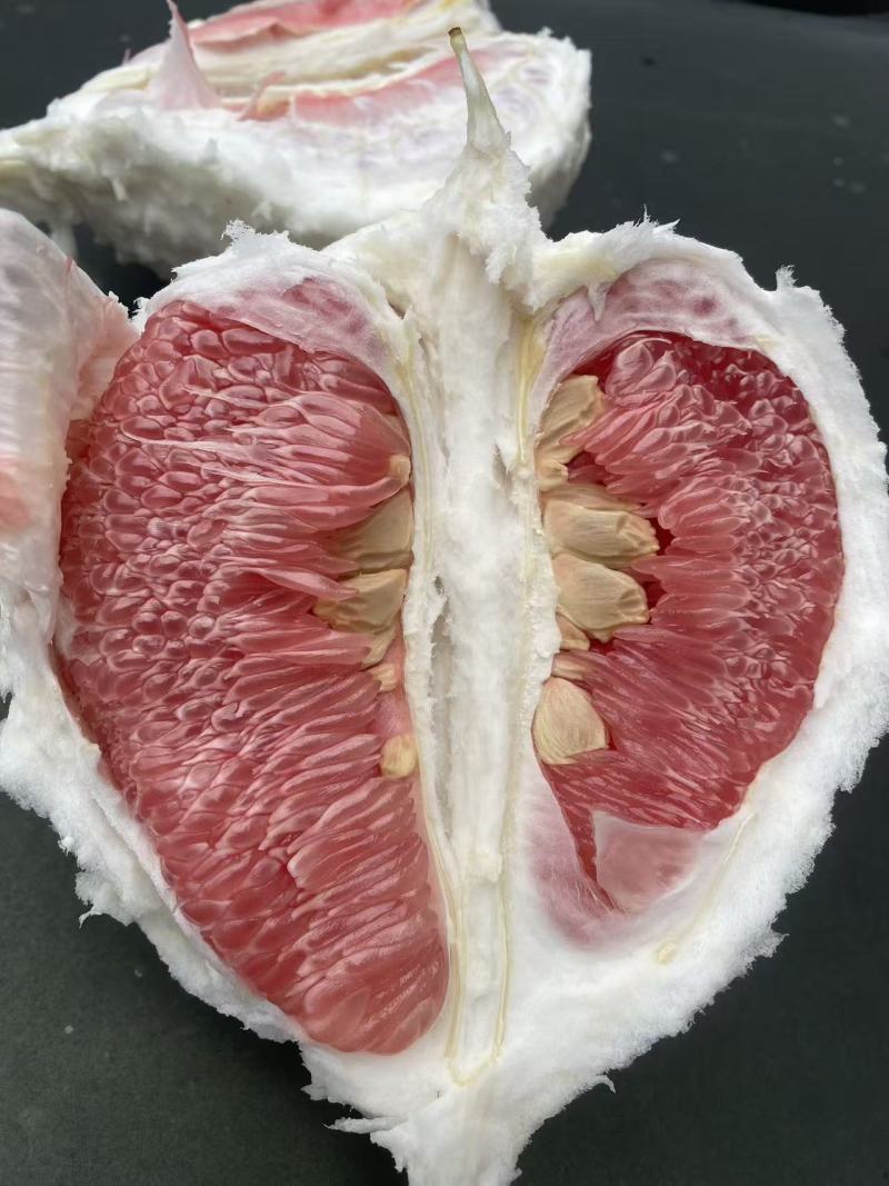 品质会说话梅州红心蜜柚