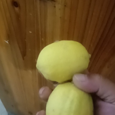 香水柠檬