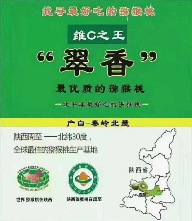陕西周至翠香猕猴桃
