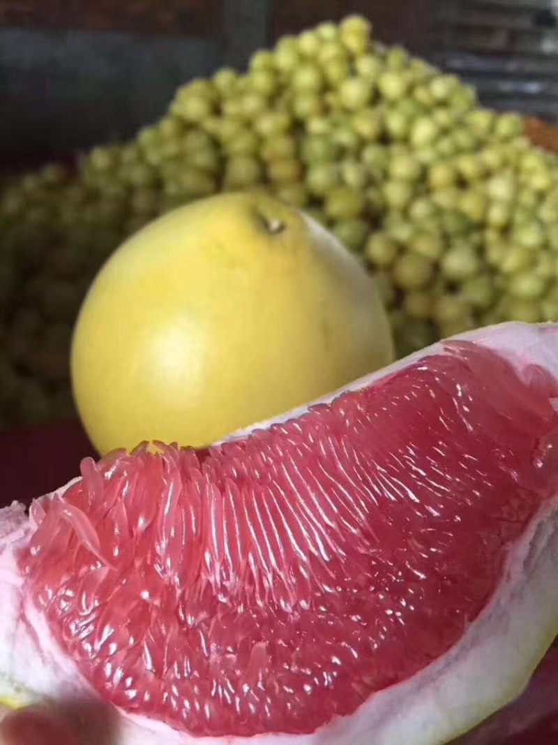 平和琯溪蜜柚，红心，三红蜜柚。