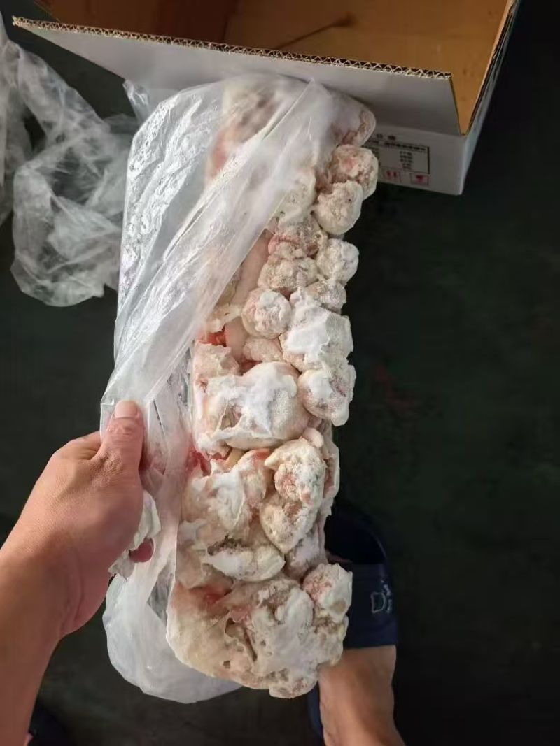 长尾