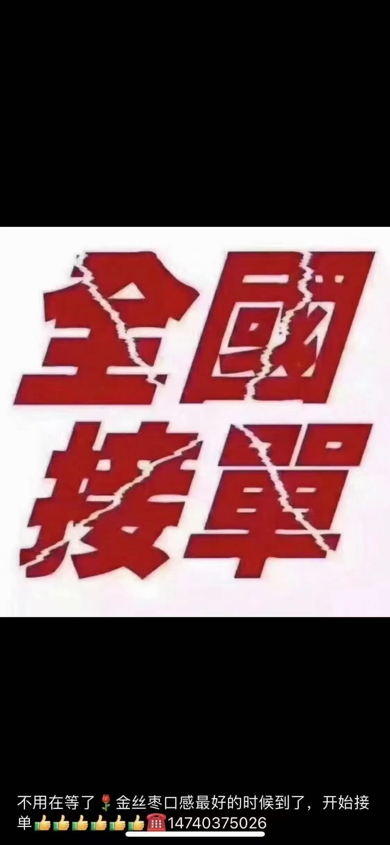 朝阳金丝大枣