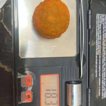 非洲天然牛黄
