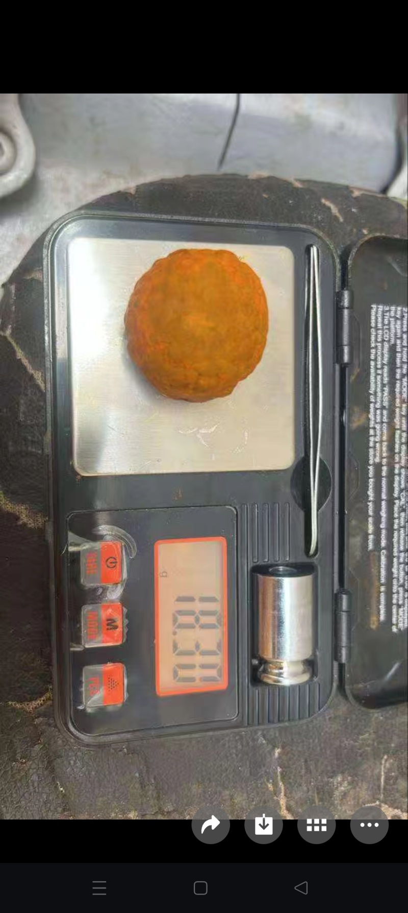非洲天然牛黄
