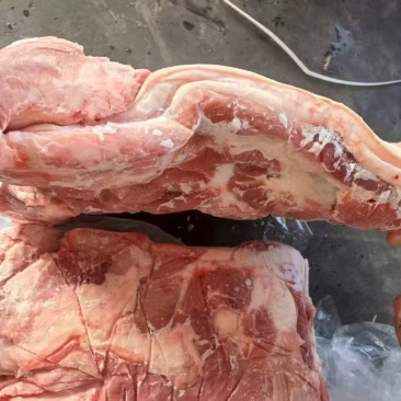 前上肉2—3片鲜白条分割新货
