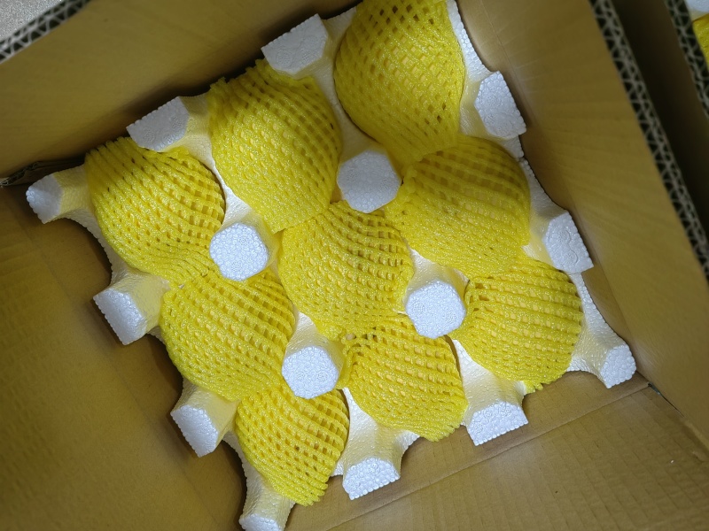 咸阳市乾县黄桃