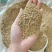 花生壳粉4-5个锣颜色好，气味好，质量好，长年不会断货，