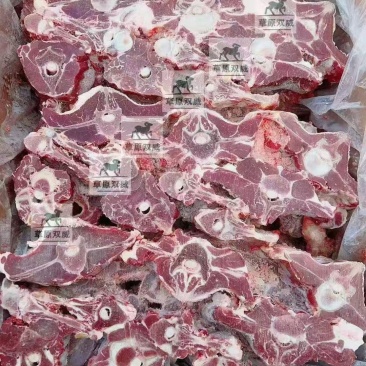 满肉羊蝎子