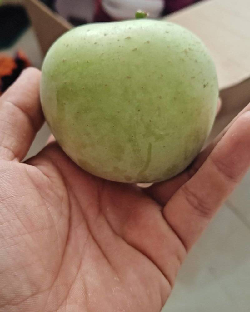 青苹果
