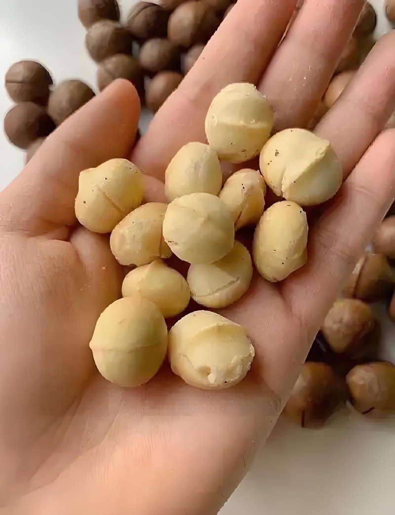 夏威夷果