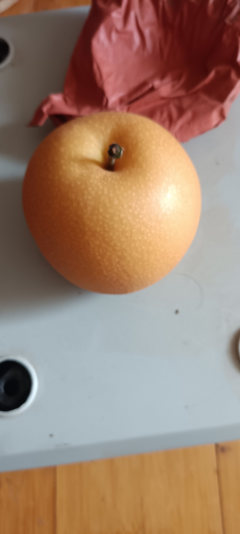 秋月秋梨