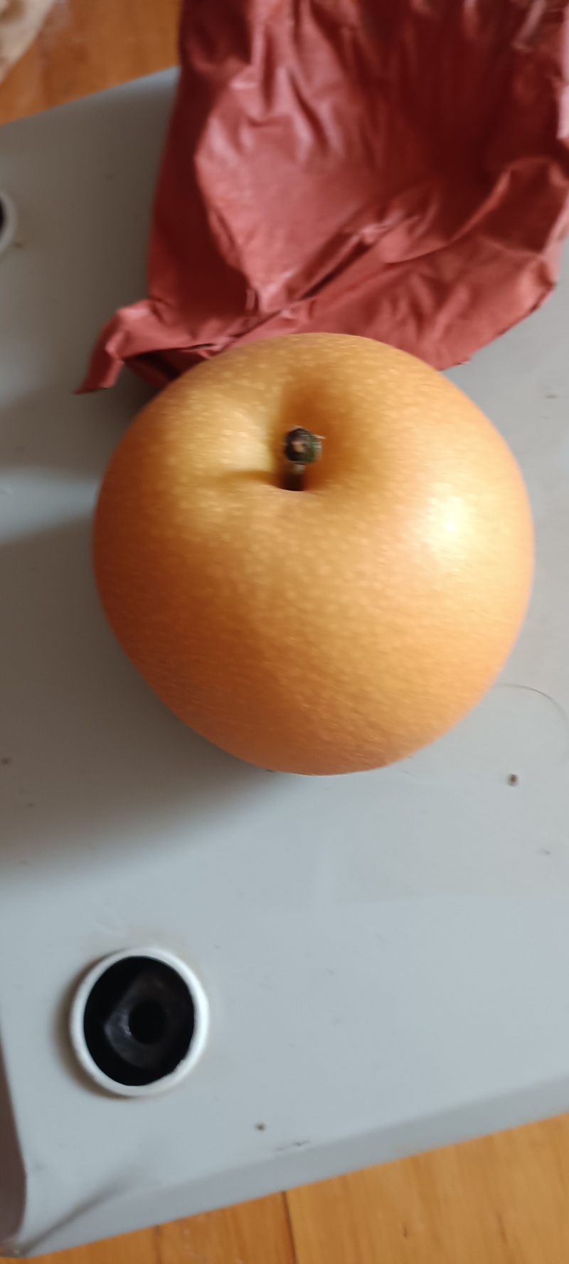 秋月秋梨