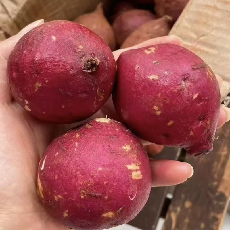 榴莲蜜薯，支持电商，一件代发