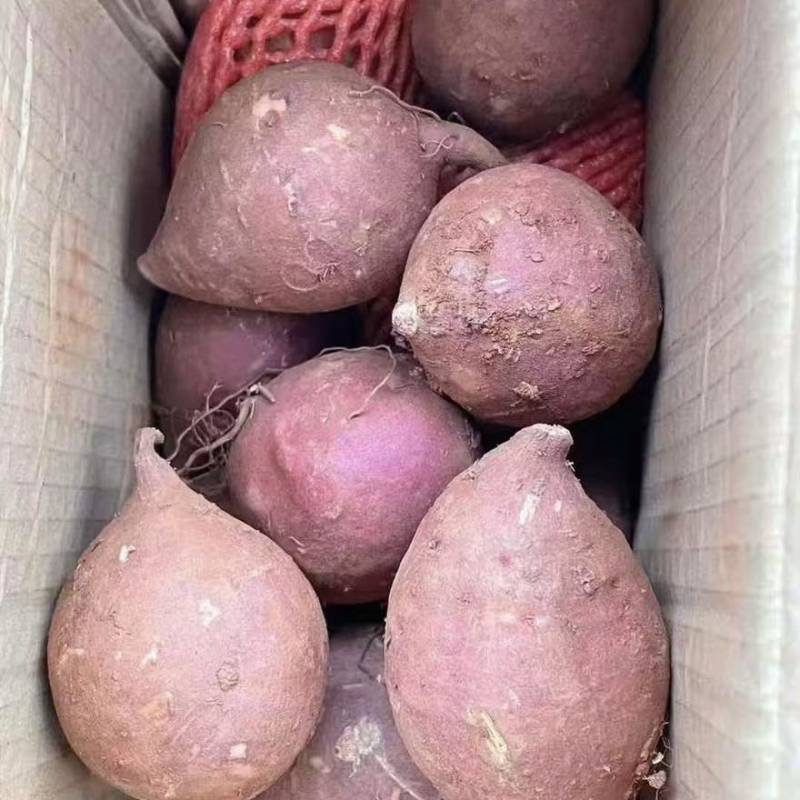 榴莲蜜薯，支持电商，一件代发