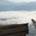 深山野生蜂蜜