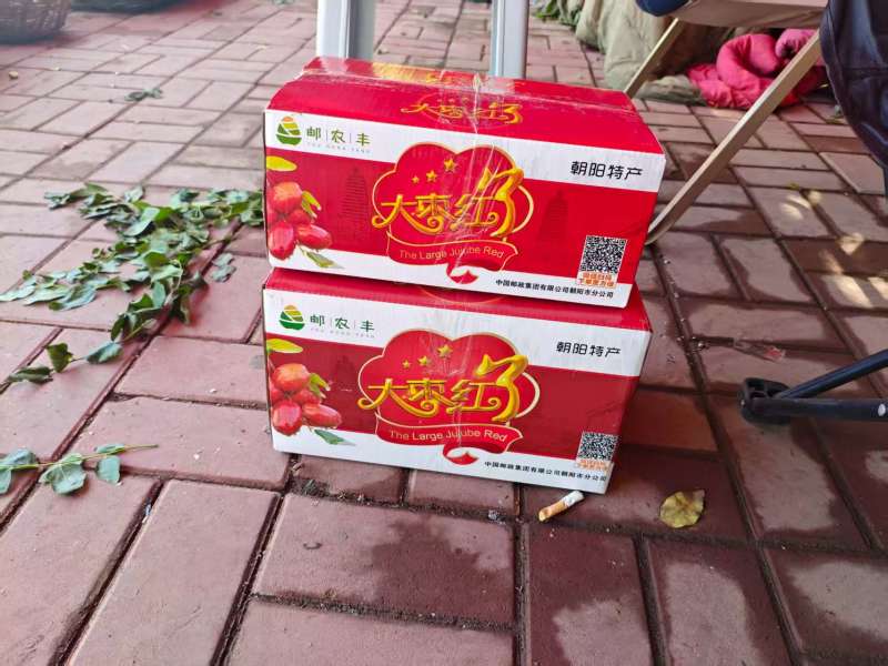朝阳孙家湾大枣