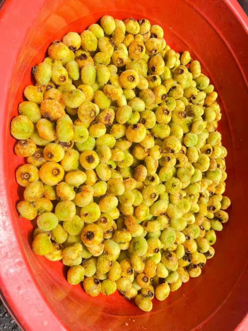 鲜果刺梨