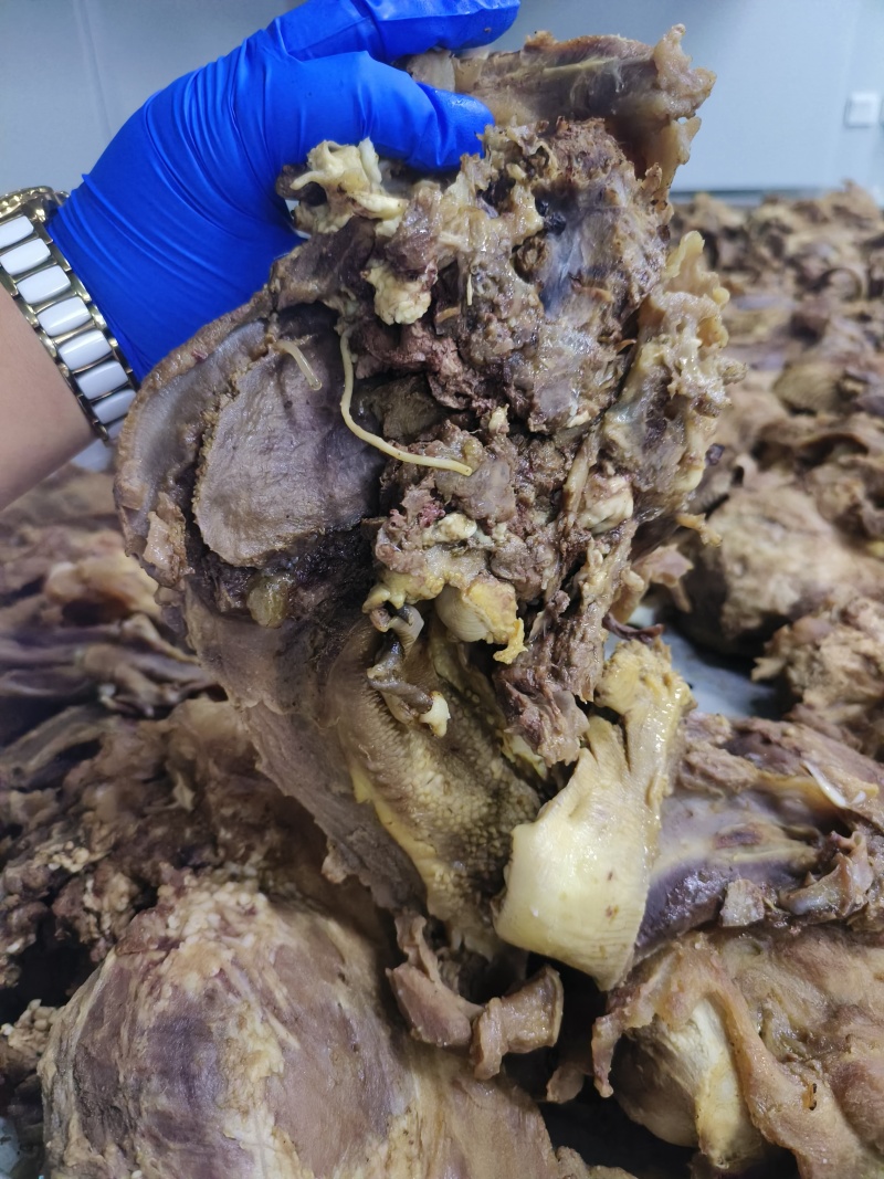 五香牛头肉