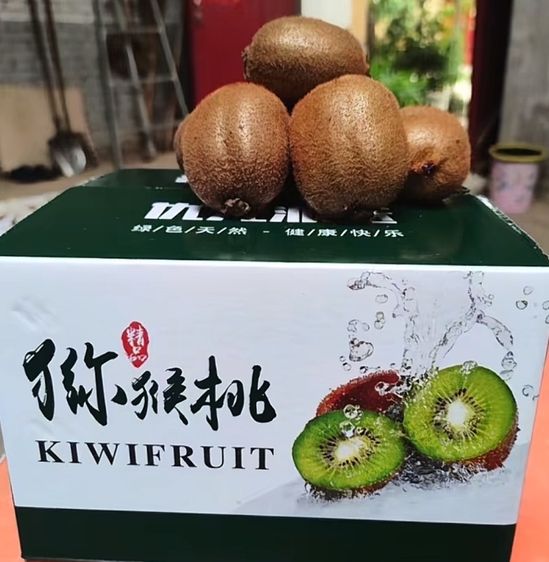 陕西徐香猕猴桃