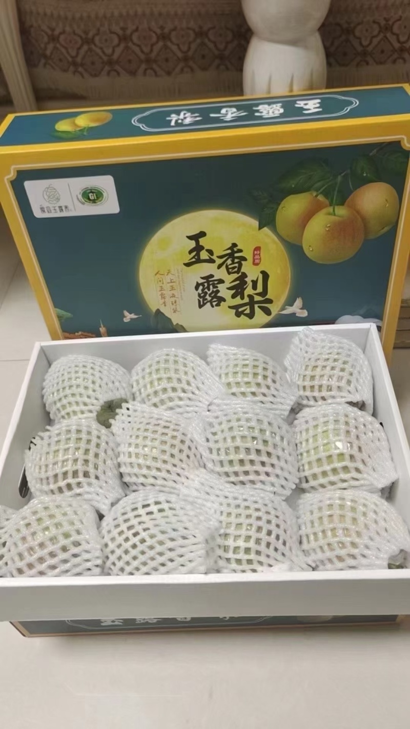山西隰县玉露香梨（中国大美梨）