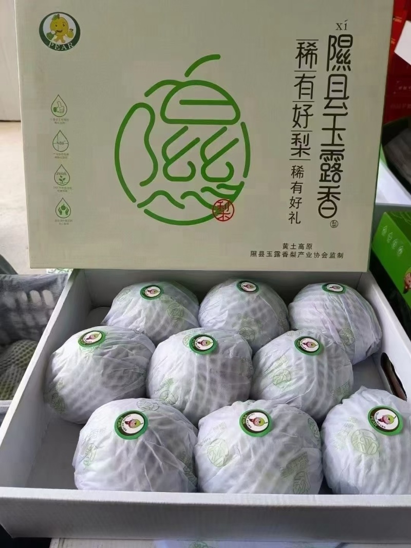 山西隰县玉露香梨（中国大美梨）