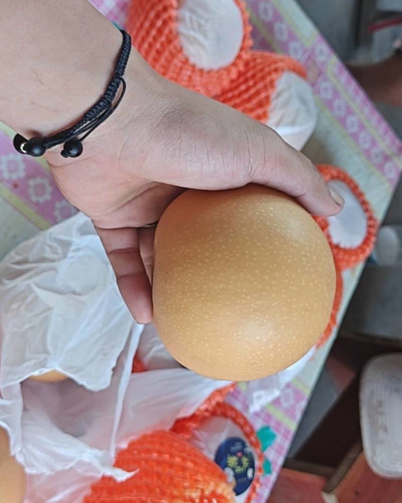 山东莱西秋月梨