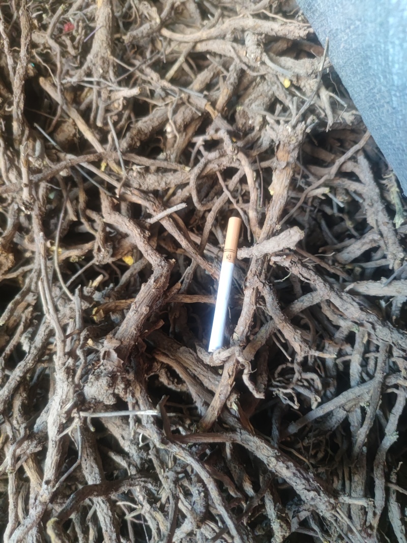 陕西渭南澄县黄芩统货