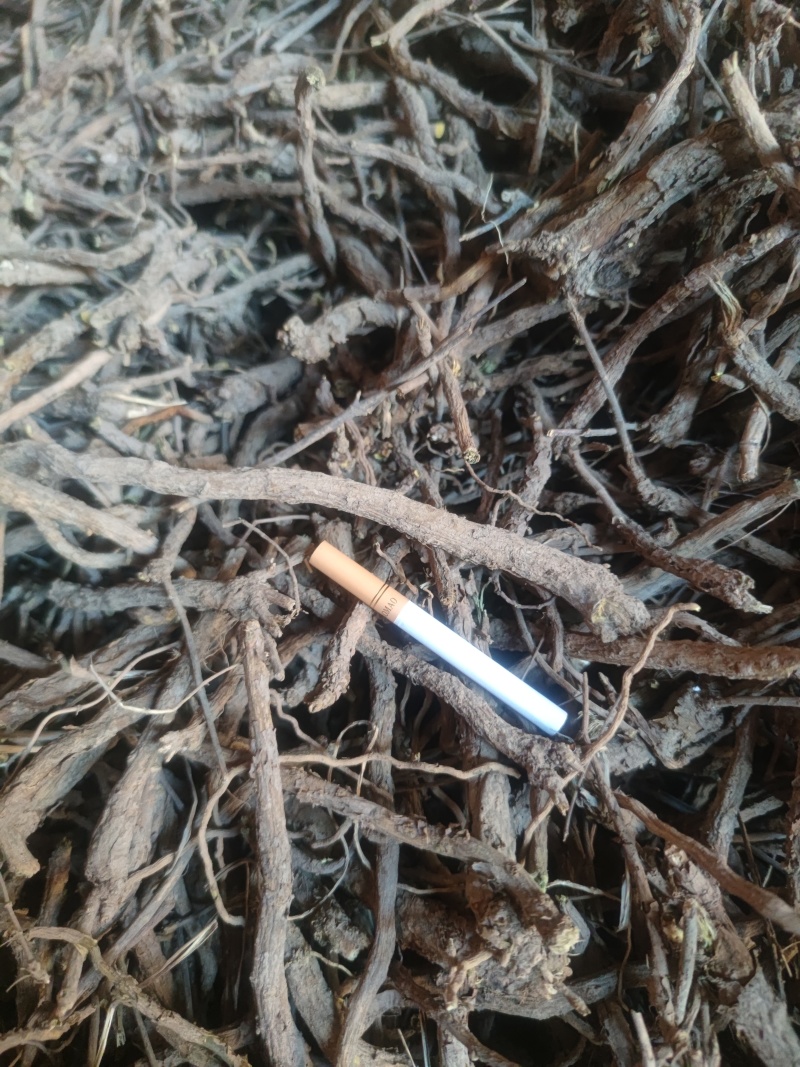陕西渭南澄县黄芩统货
