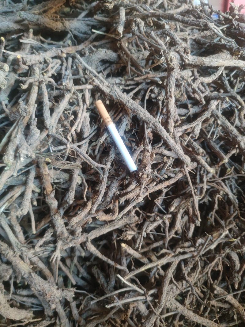 陕西渭南澄县黄芩统货